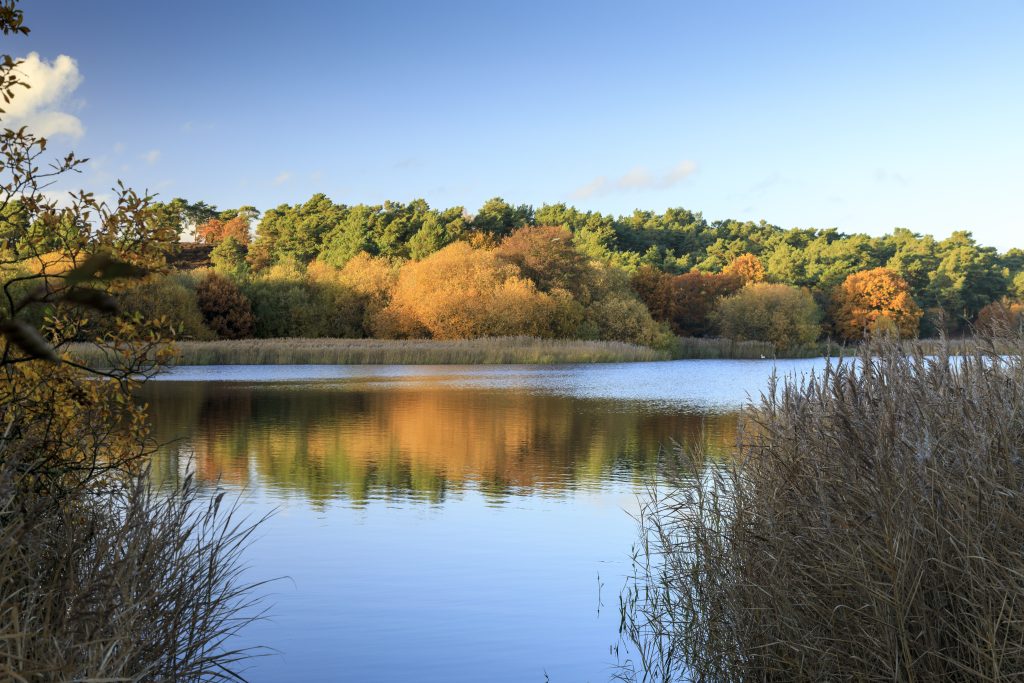 1441087 Frensham Little Pond ©National Trust Images John Miller